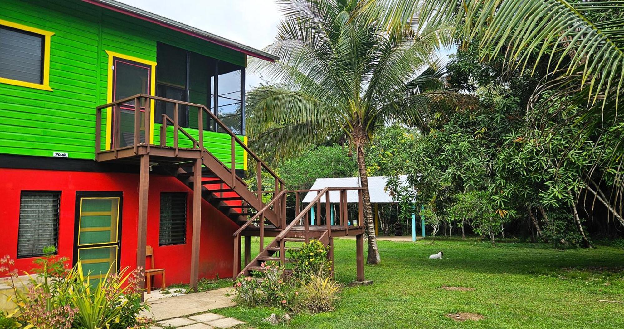 Lower Dover Jungle Lodge & Maya Ruins Unitedville Habitación foto