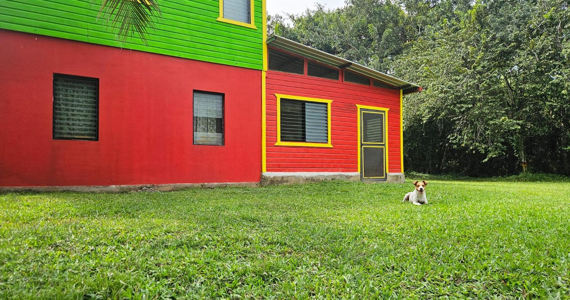 Lower Dover Jungle Lodge & Maya Ruins Unitedville Habitación foto