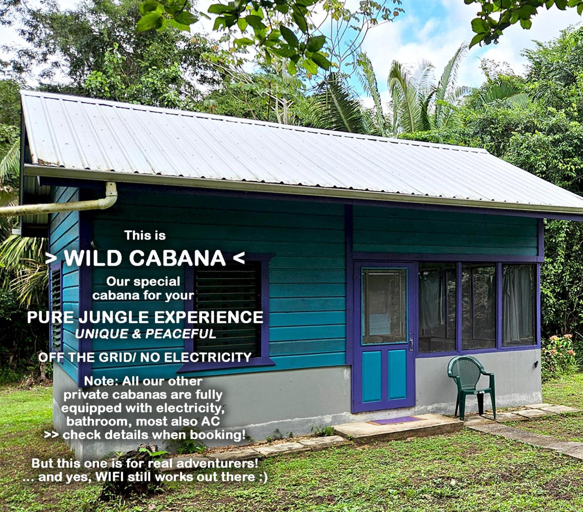 Lower Dover Jungle Lodge & Maya Ruins Unitedville Habitación foto